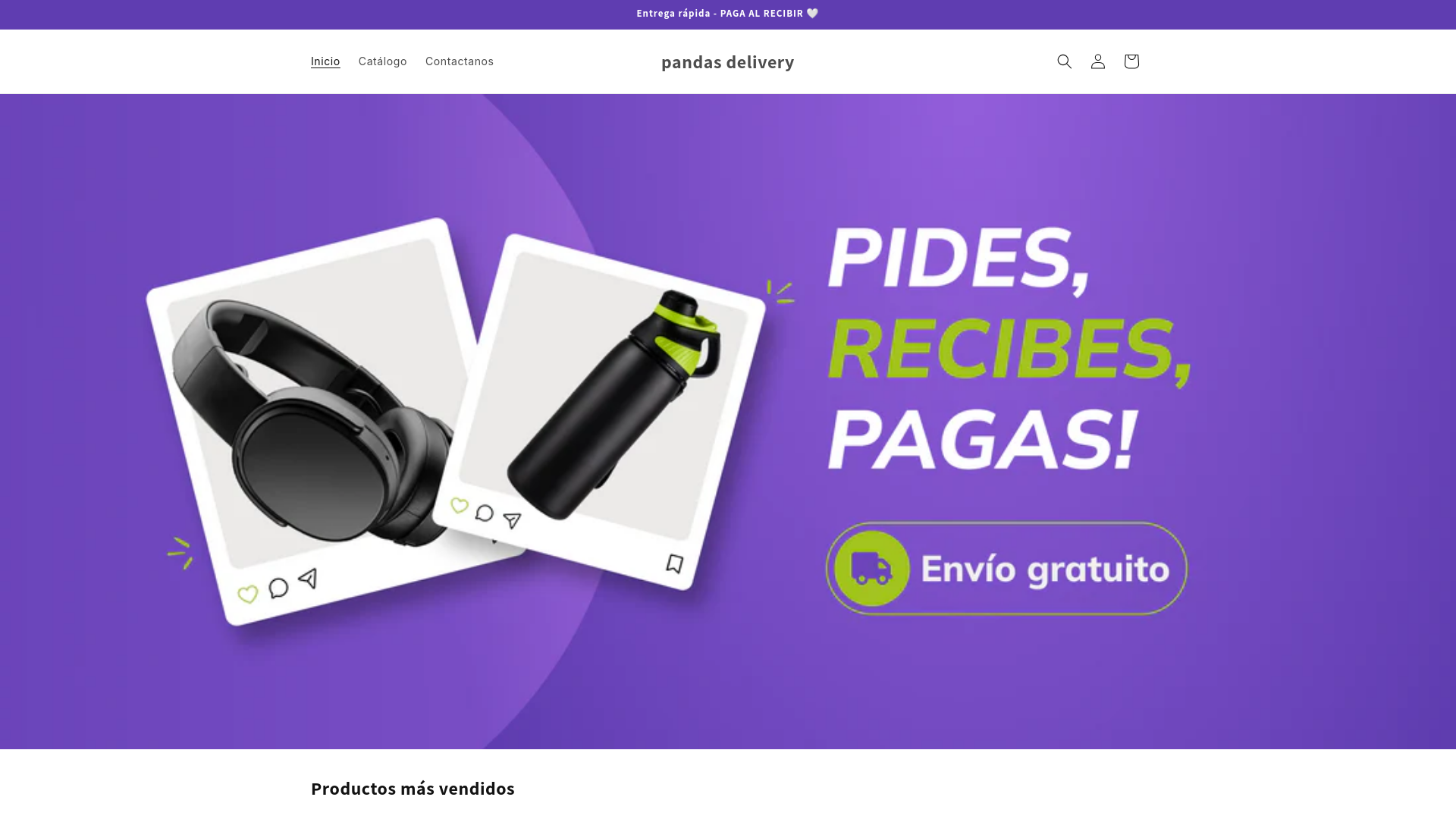 website screenshot of https://pandasdelivery.com/