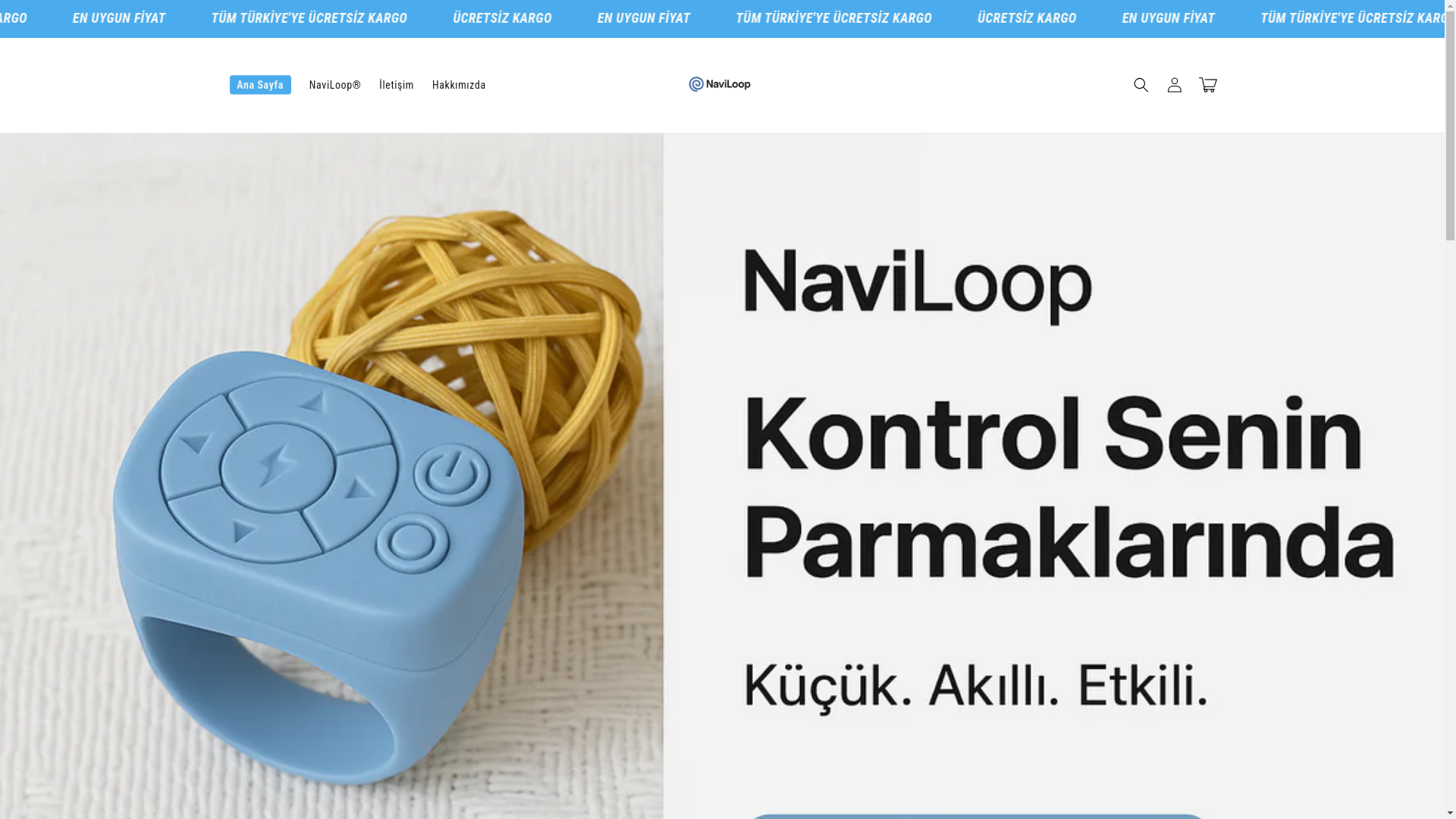 website screenshot of https://naviloop.com.tr/