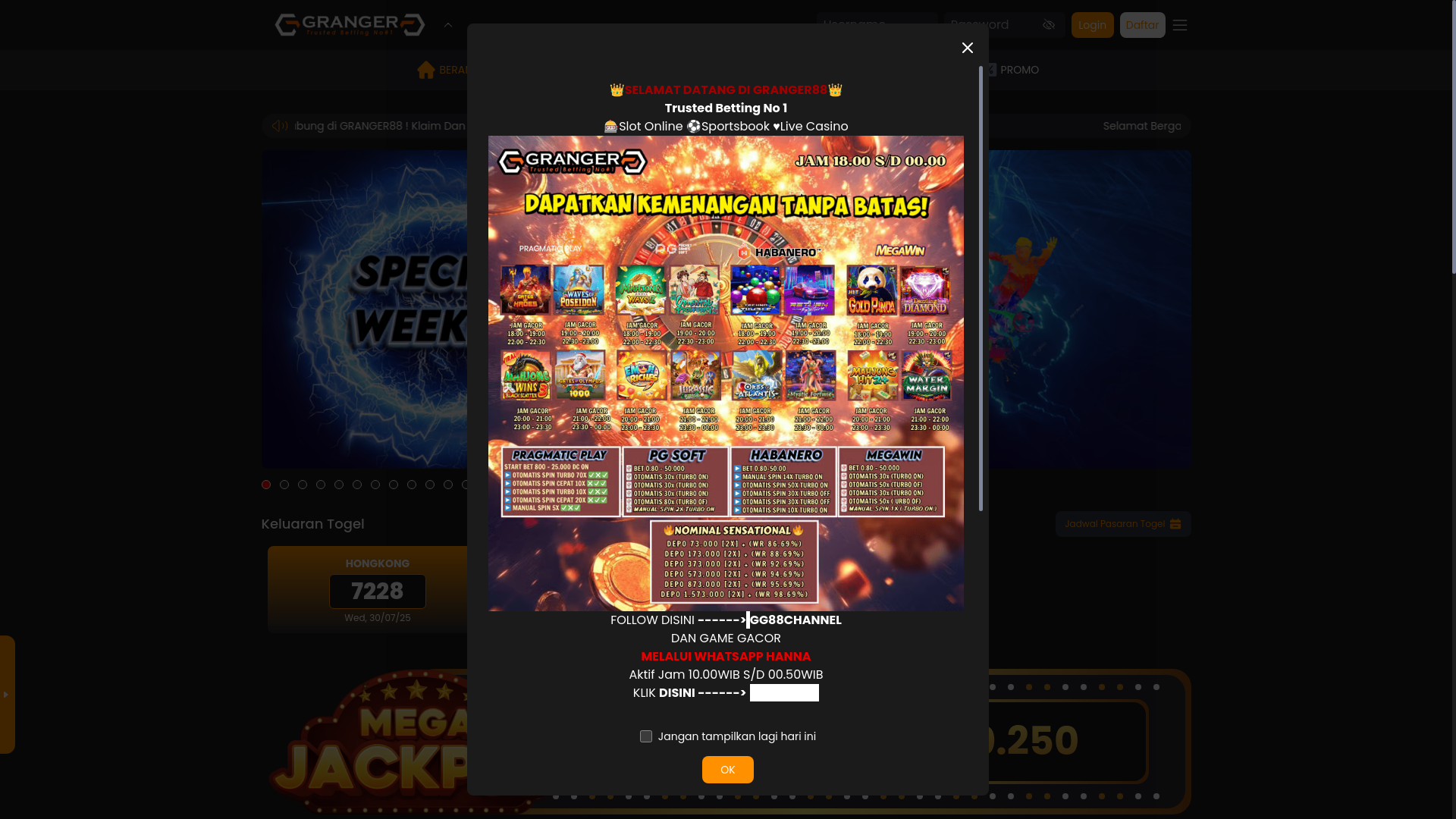 website screenshot of https://granger88-pasti.xyz/