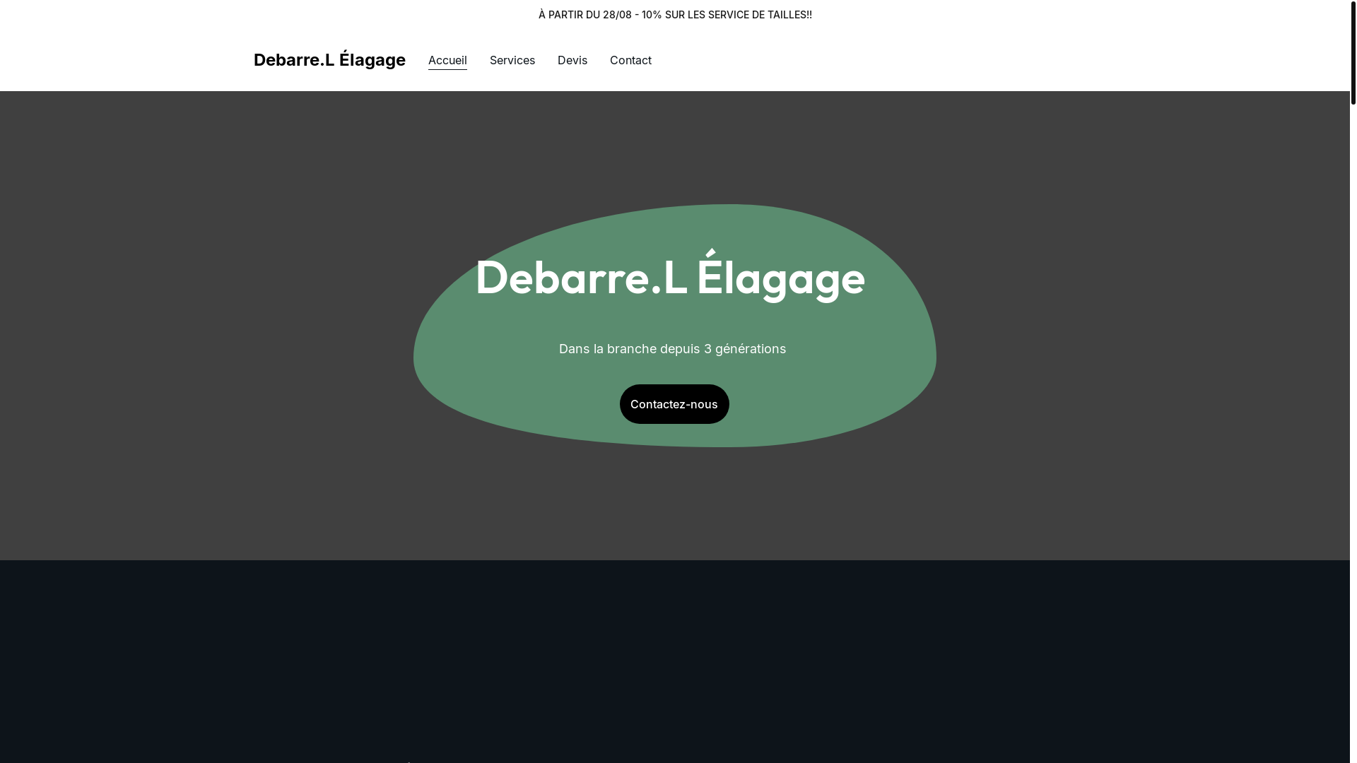 website screenshot of https://debarre-espaceverts.fr/