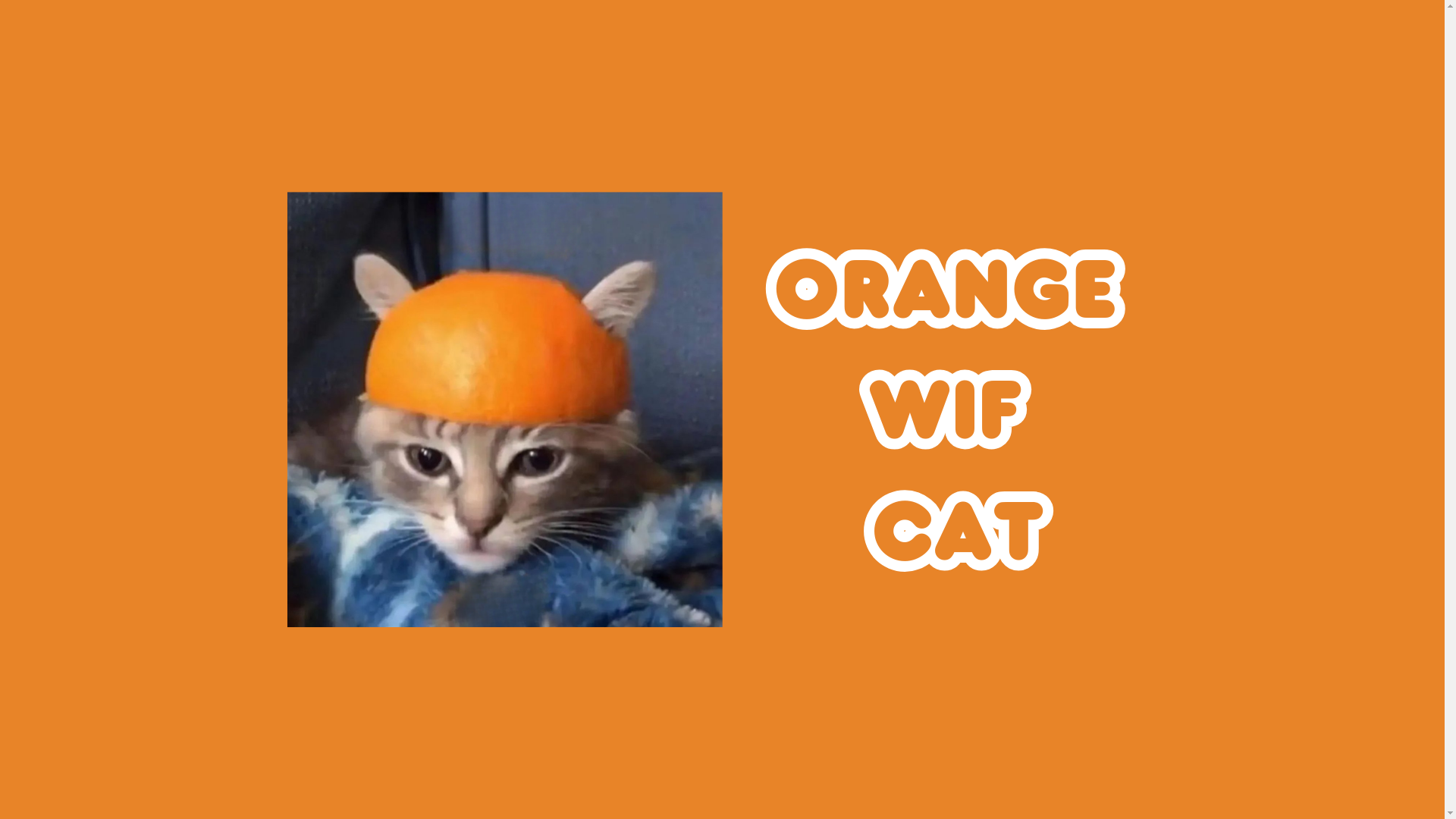 website screenshot of https://orangewifcat.fun/