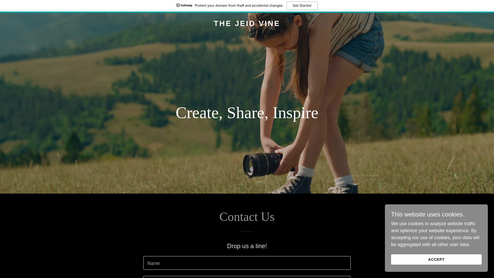 website screenshot of https://thejeidvine.com/