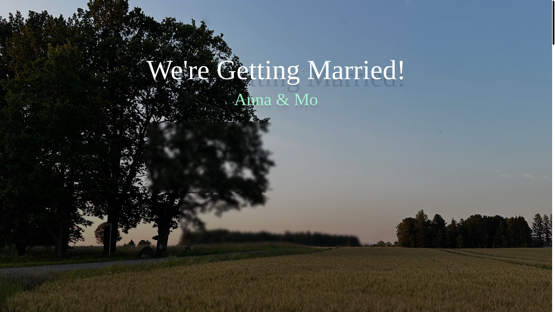 website screenshot of https://latvianwedding.info/