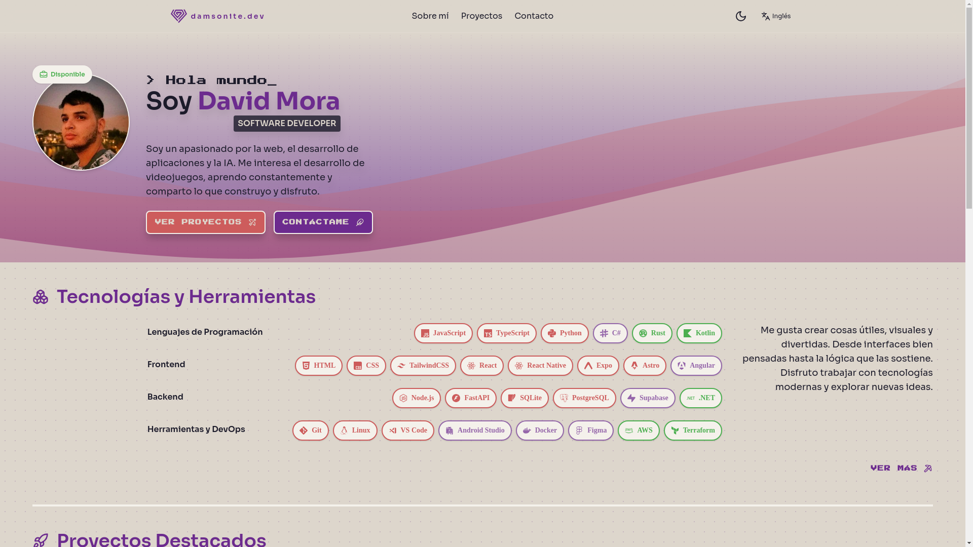 website screenshot of https://damsonite.dev/