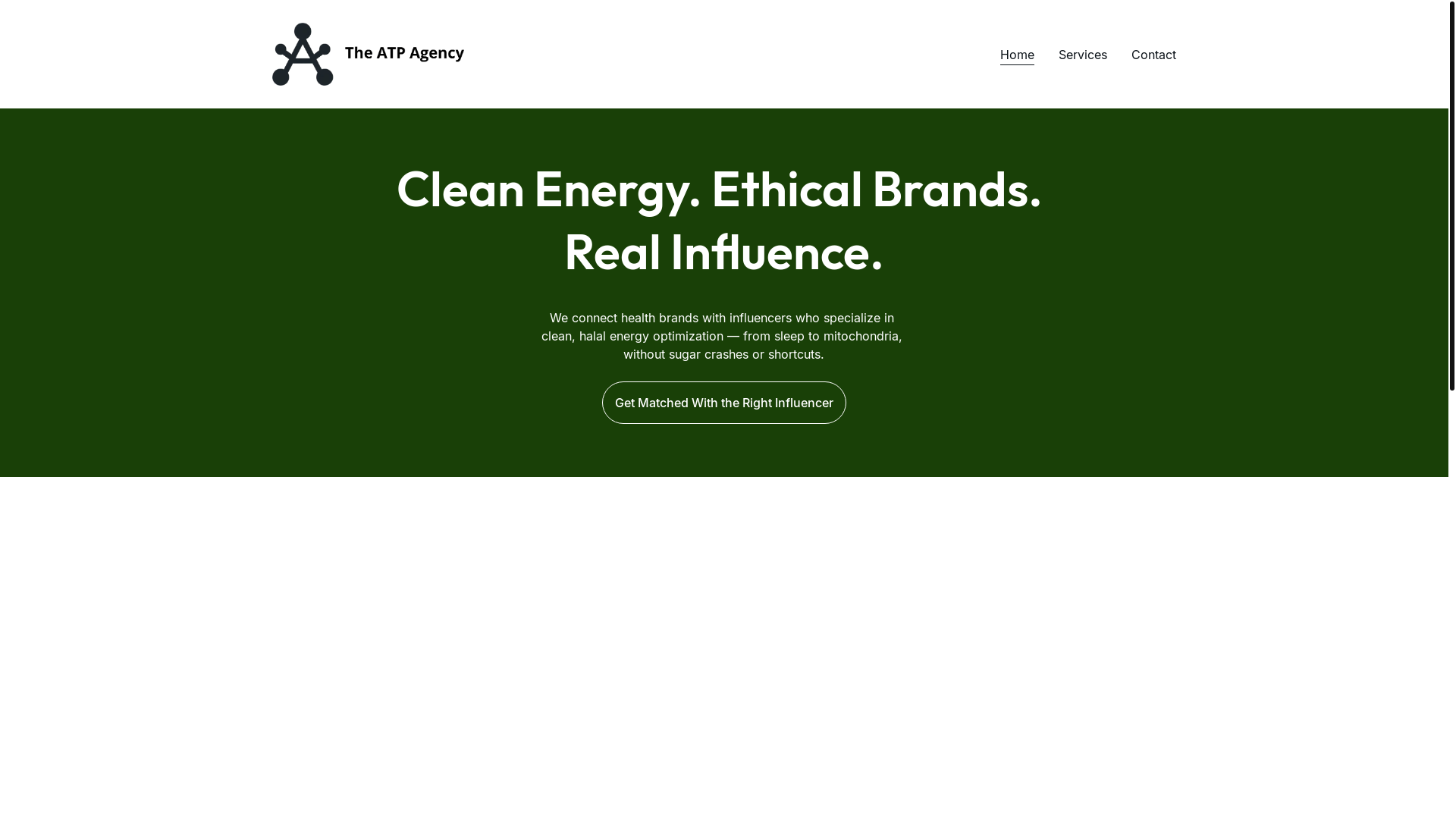 website screenshot of https://the-atp-agency.com/