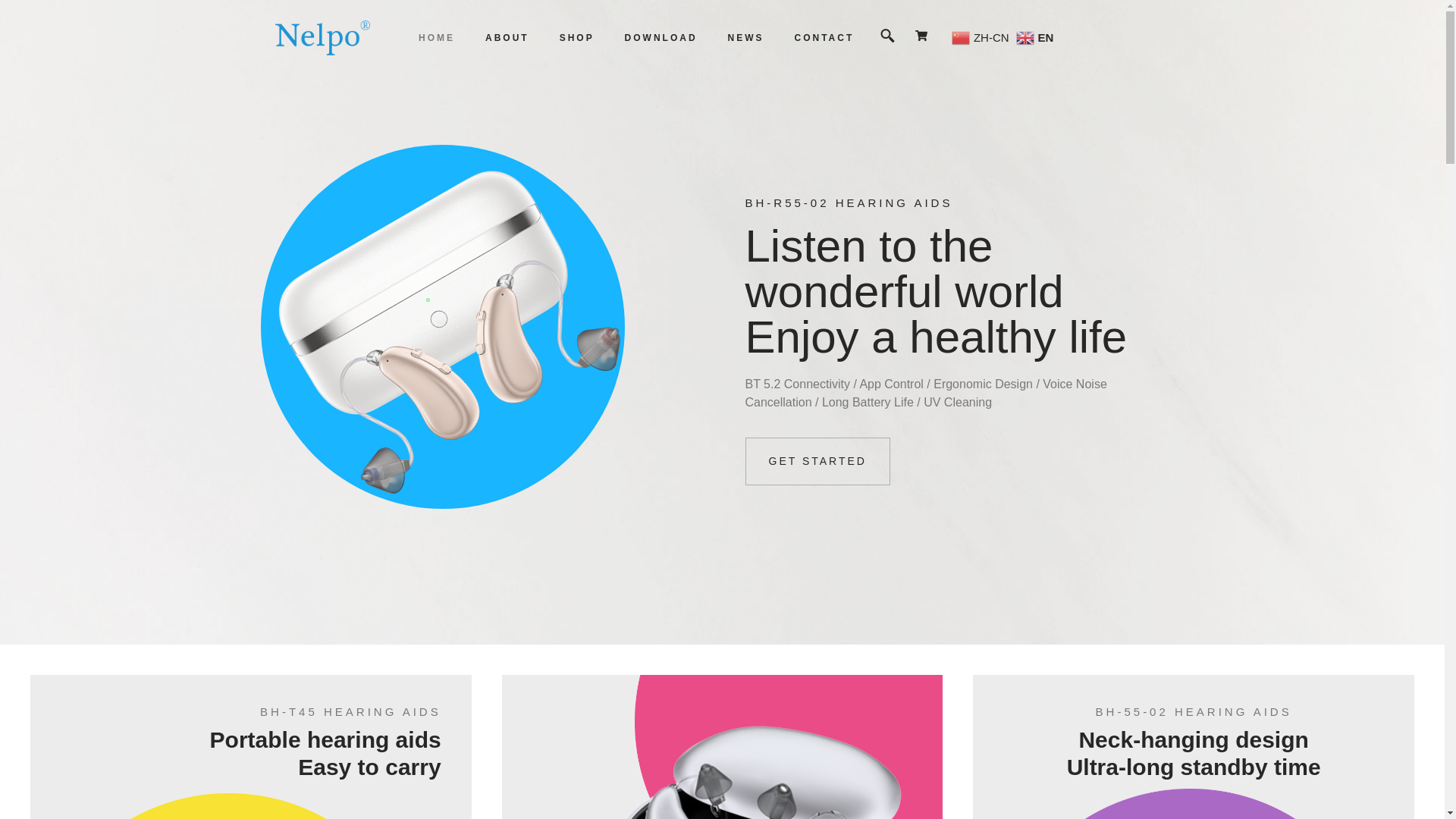 website screenshot of https://nelpo-hearing.com/