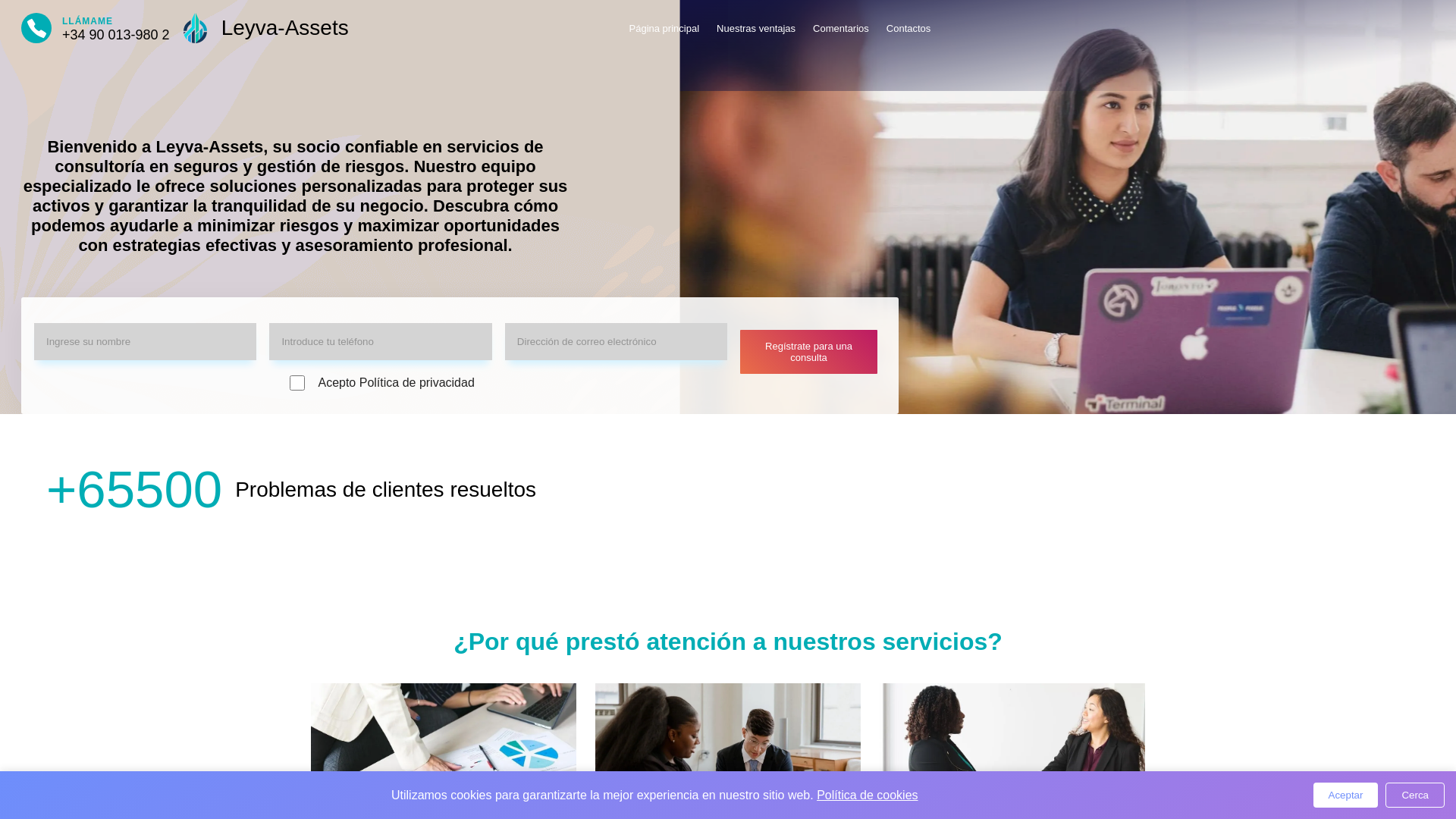 website screenshot of https://leyva-assets.com