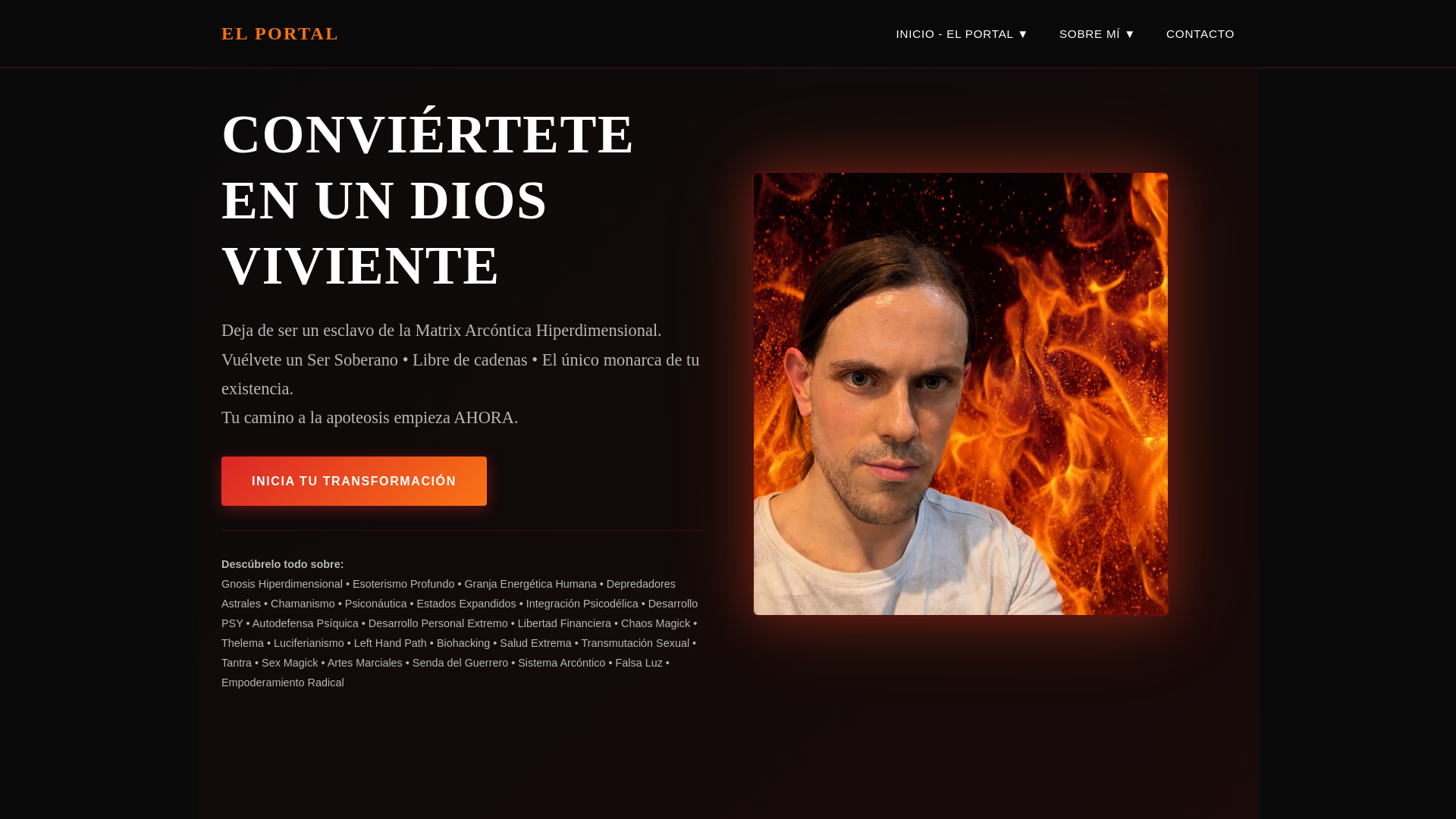 website screenshot of https://arturowolf.com/