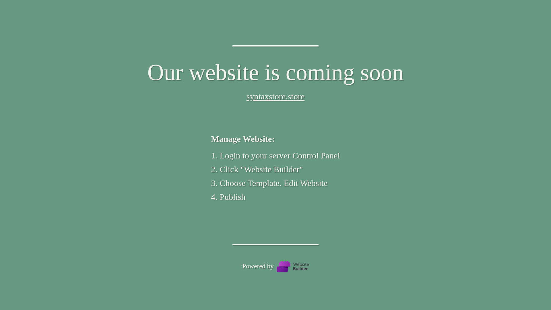 website screenshot of https://syntaxstore.store/