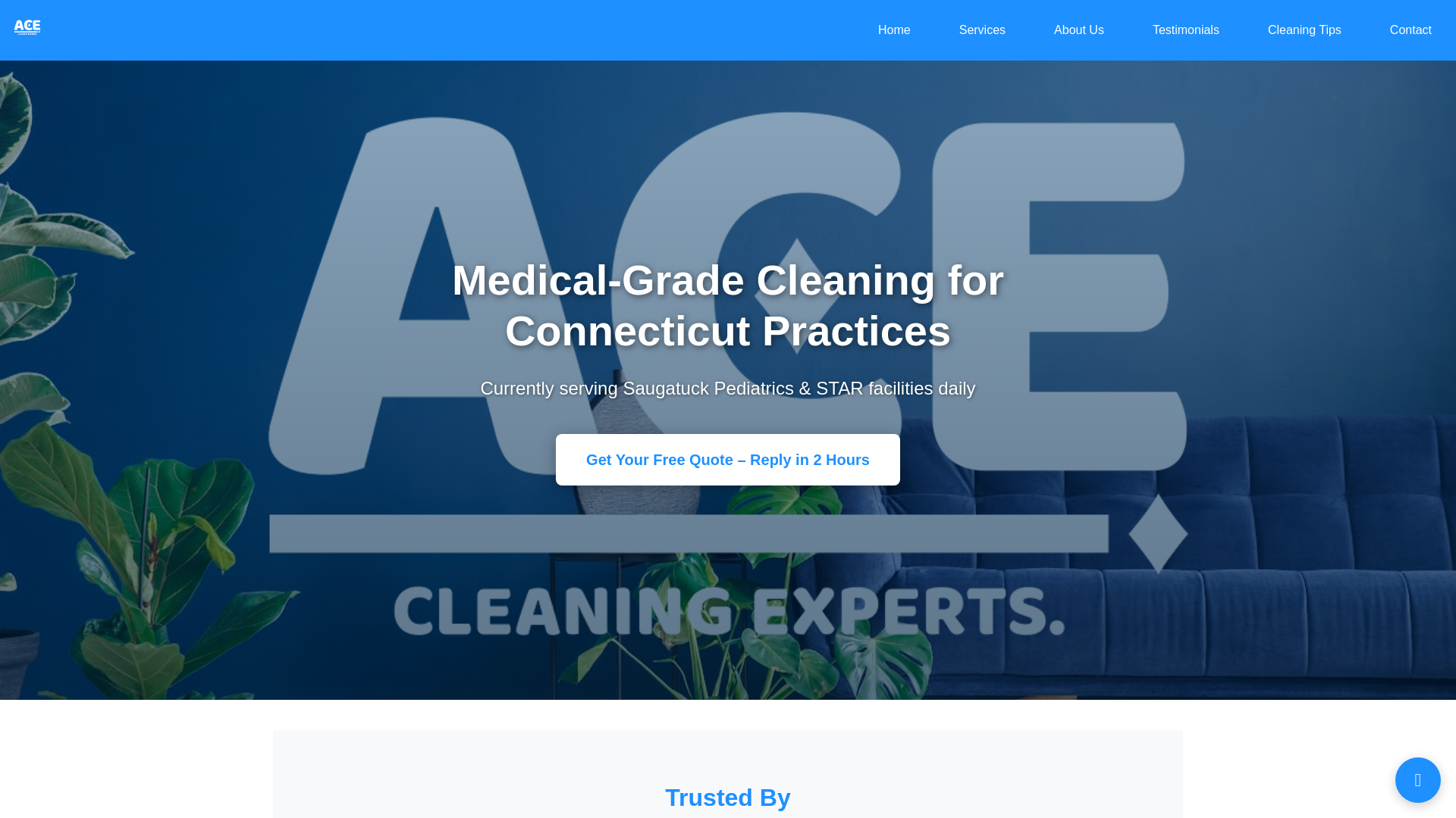 website screenshot of https://theacecleanersct.com/