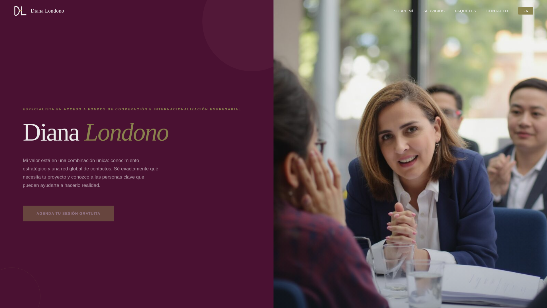 website screenshot of https://londonointernational.com/