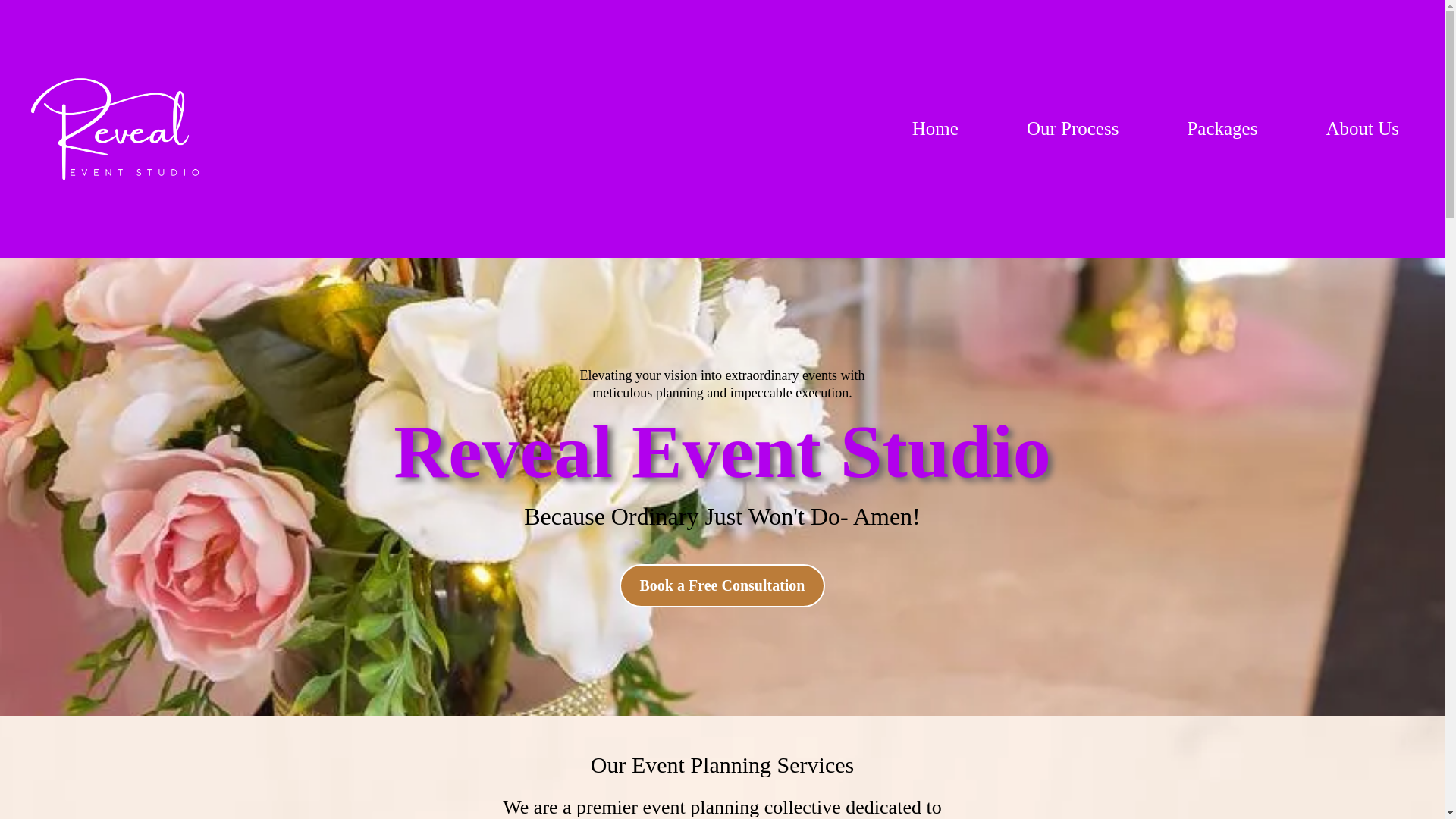 website screenshot of https://ceiqsolutions.com/