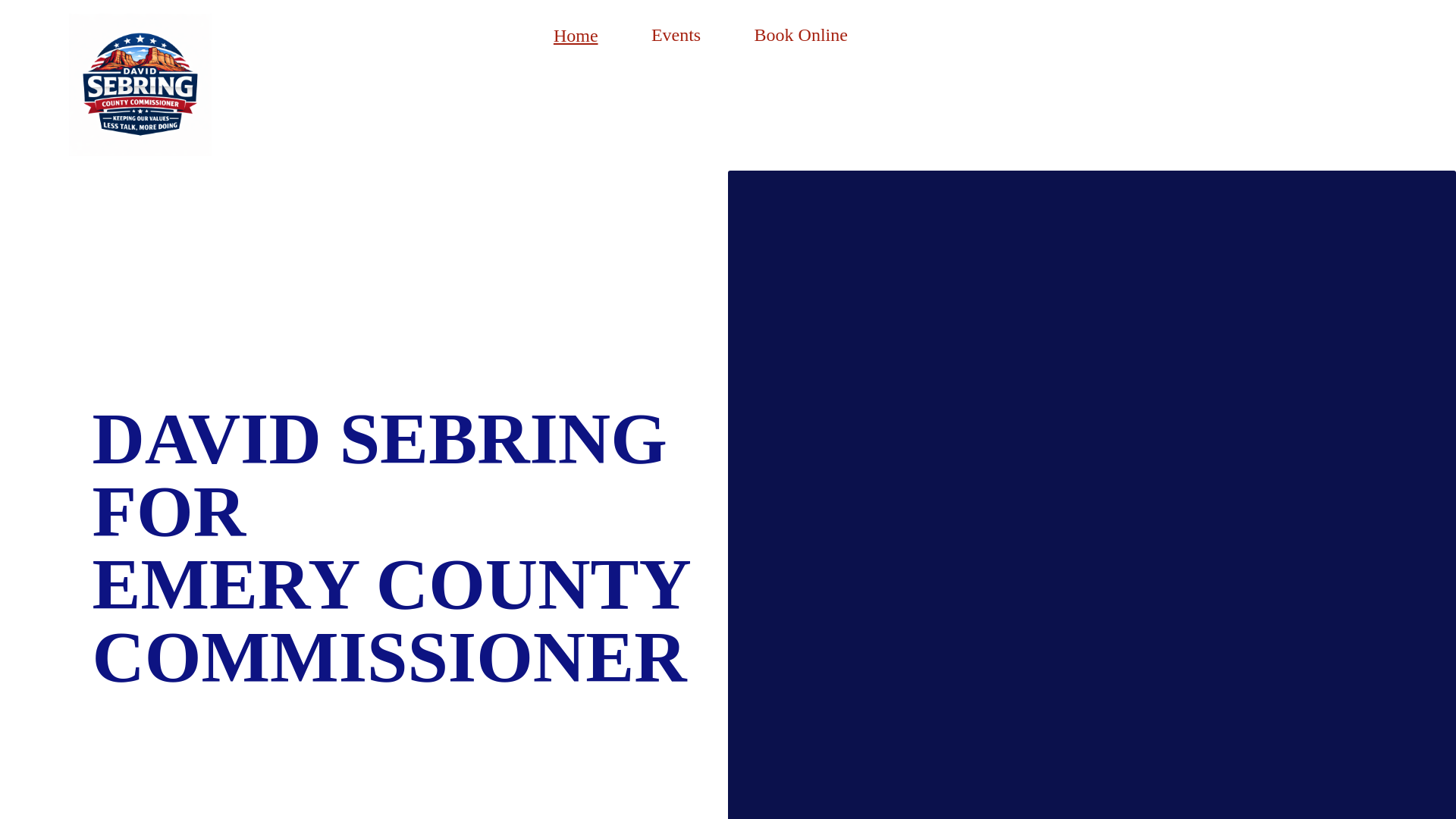 website screenshot of https://davidsebringforemerycountycommissioner.com/