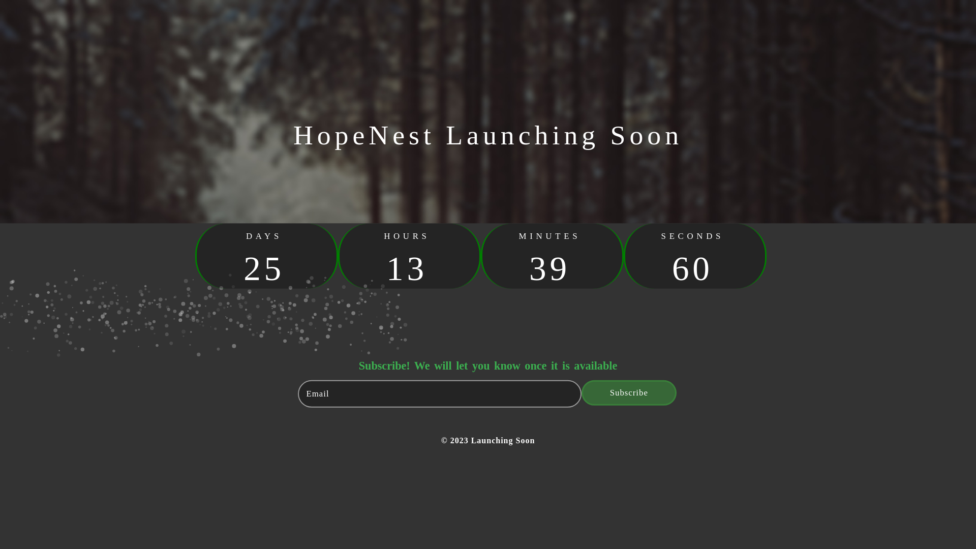 website screenshot of https://hopenest.world/