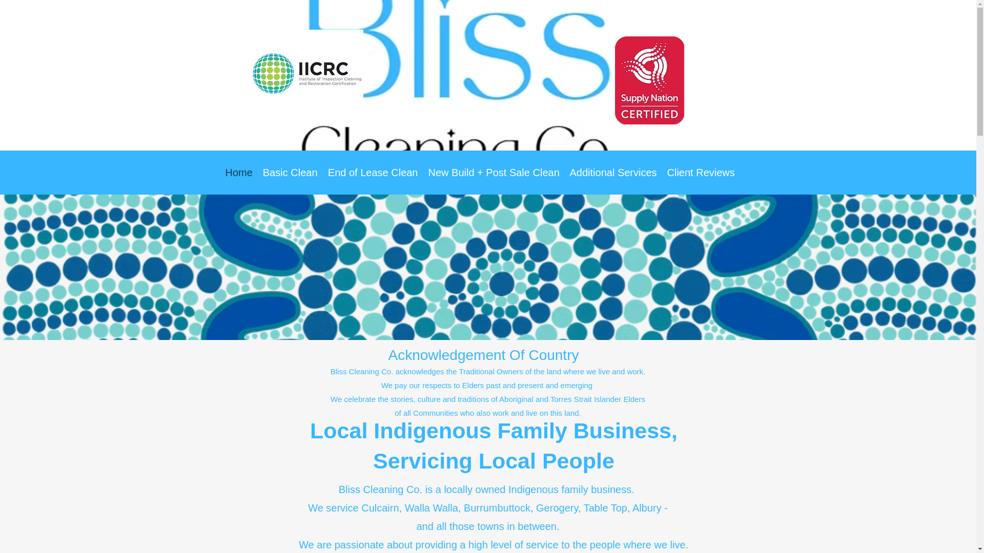 website screenshot of https://blisscleaningco.online/