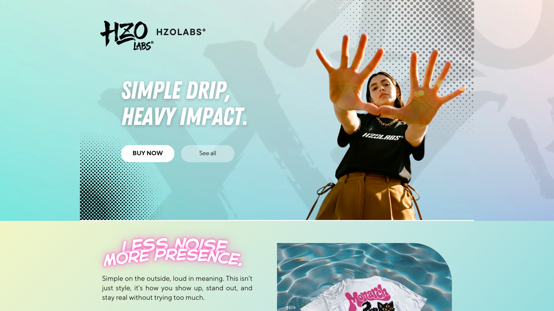 website screenshot of https://hzolabsofficial.com/