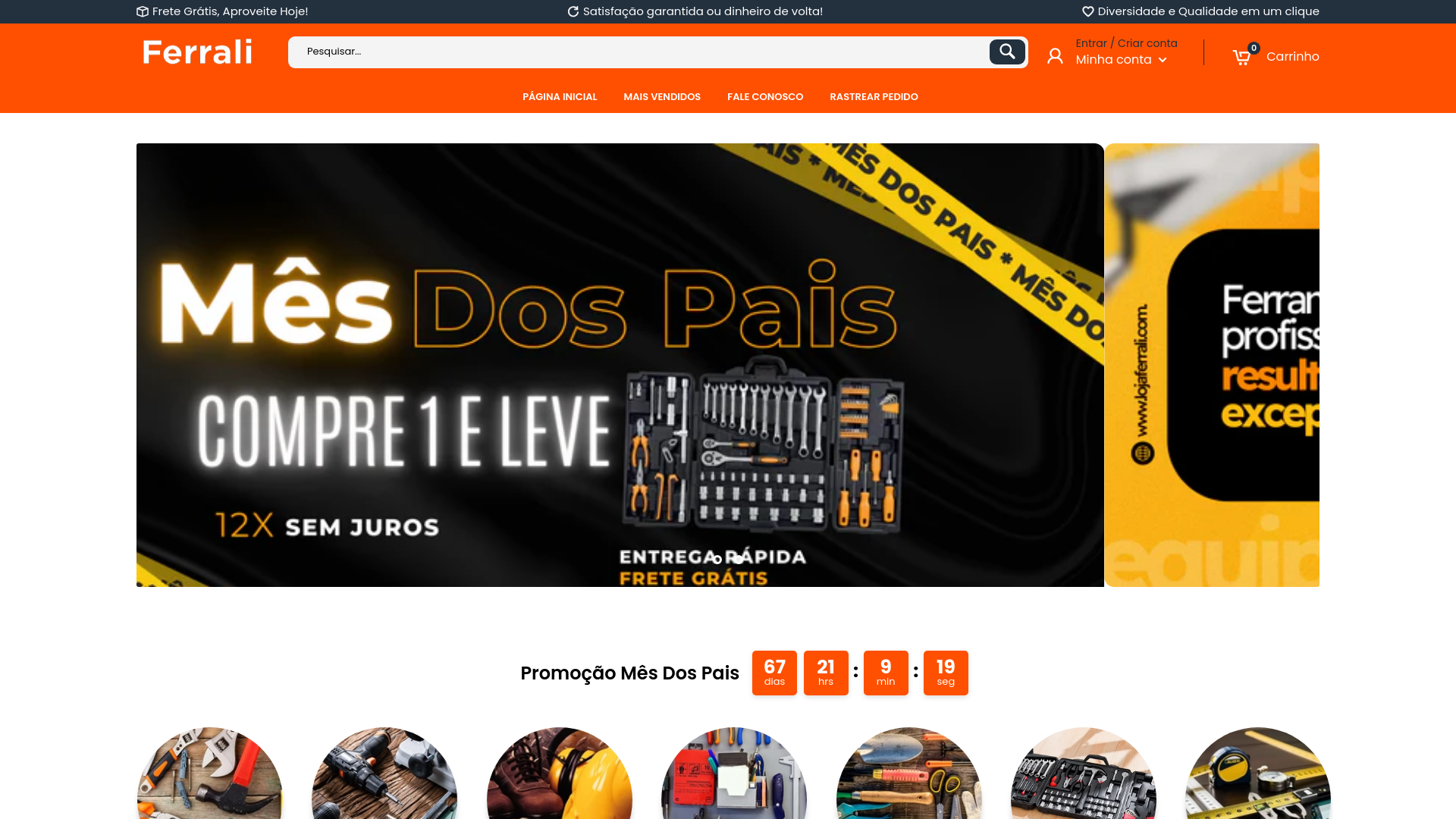 website screenshot of https://dicasferrali.site/