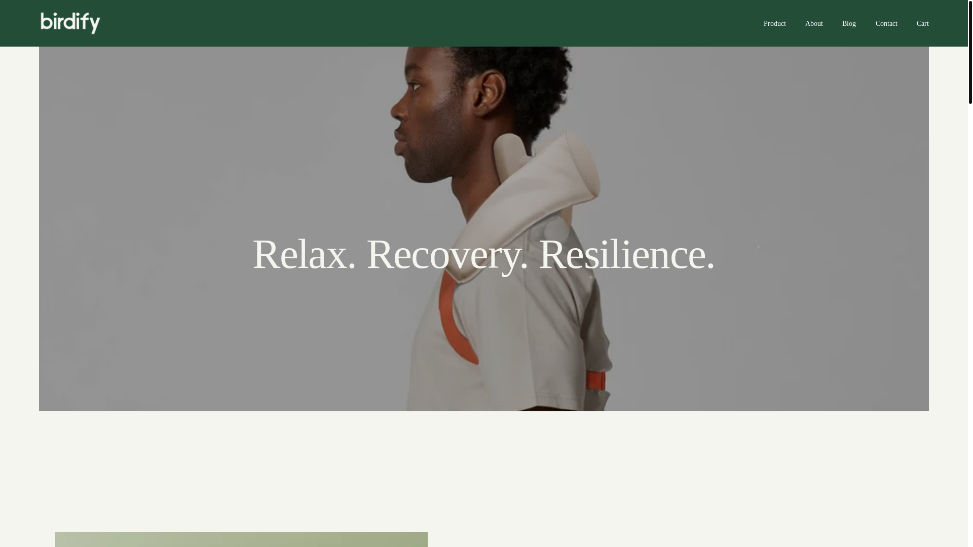 website screenshot of https://birdifycare.com/