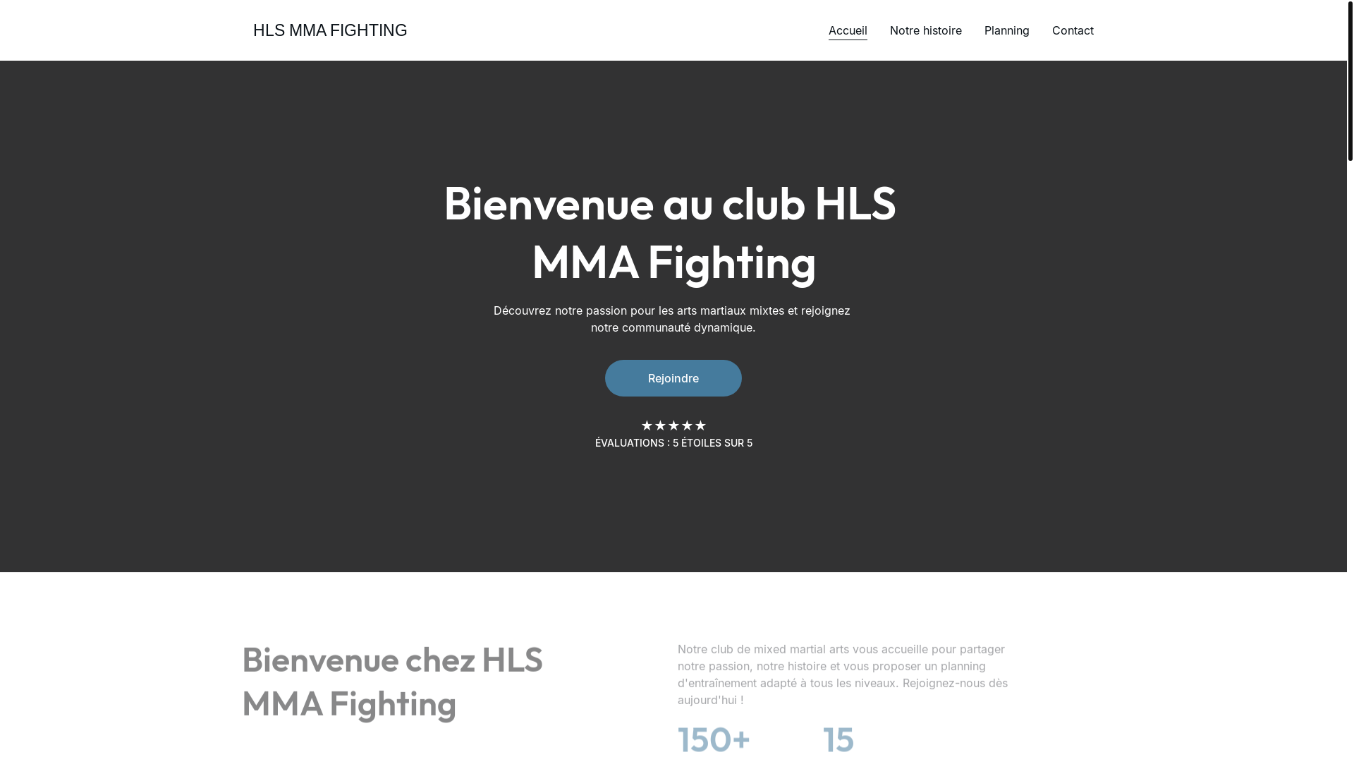 website screenshot of https://hlsmmafighting.fr/