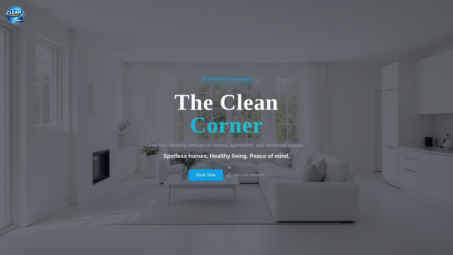 website screenshot of https://thecleancornerr.com/