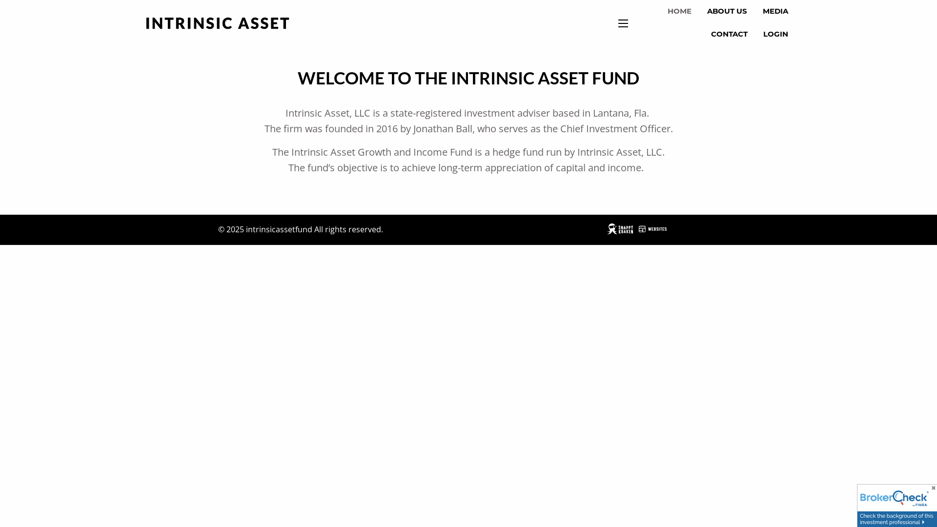 website screenshot of https://intrinsicassetfund.com/