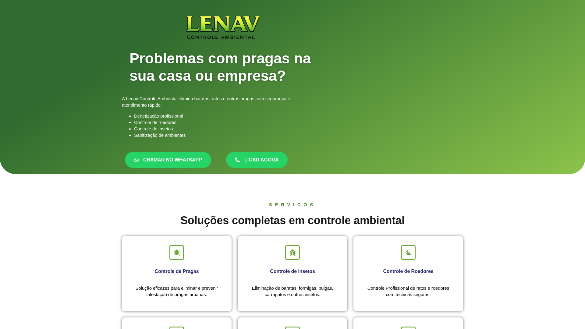 website screenshot of https://lenavcontroleambiental.com.br/