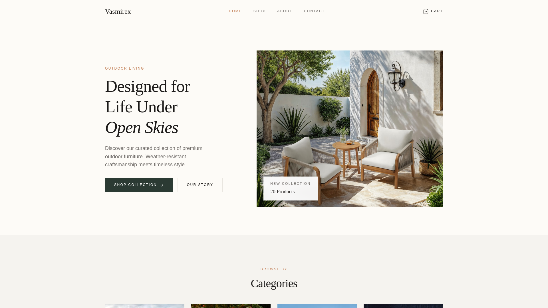 website screenshot of https://vasmirex.com/