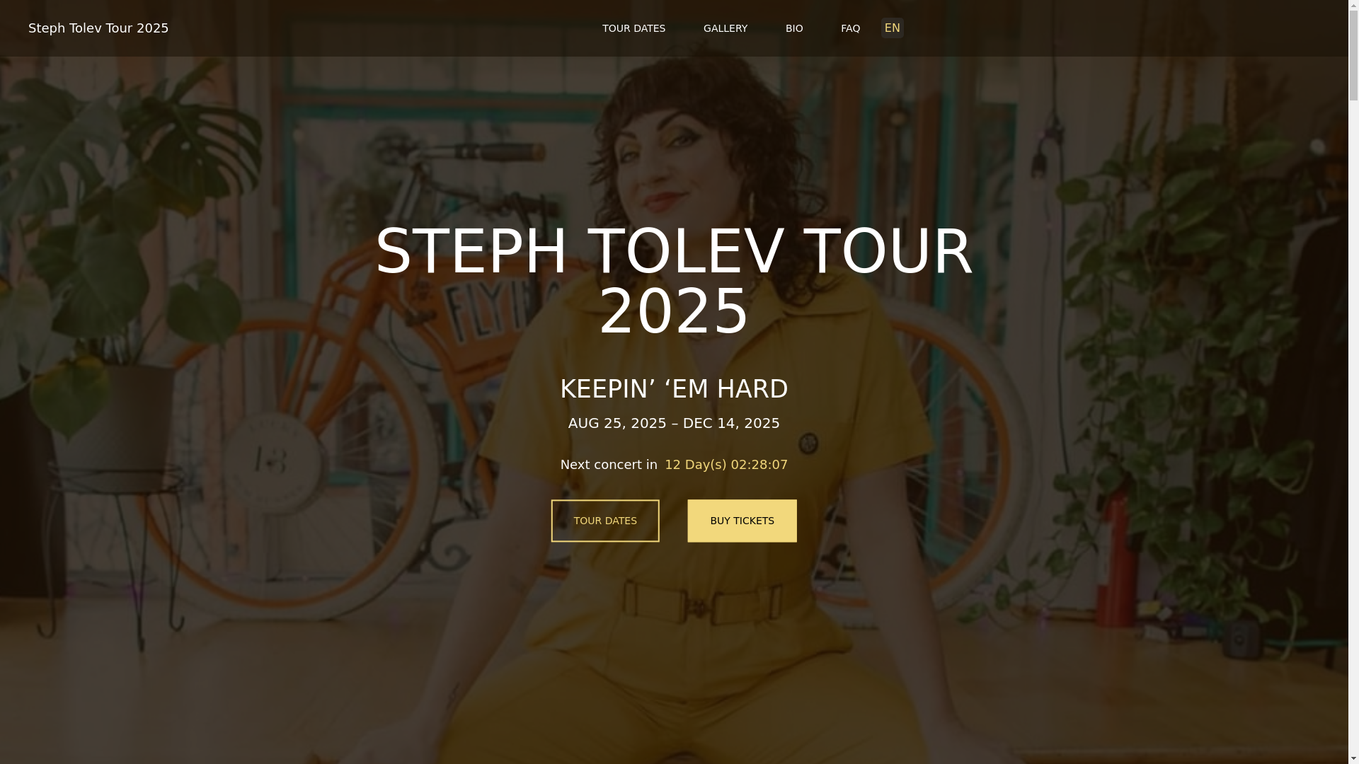 website screenshot of https://stephtolevtour-com-github-io.pages.dev/