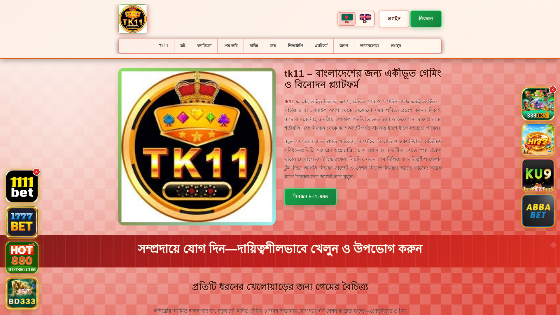 website screenshot of https://tk11tin.com/