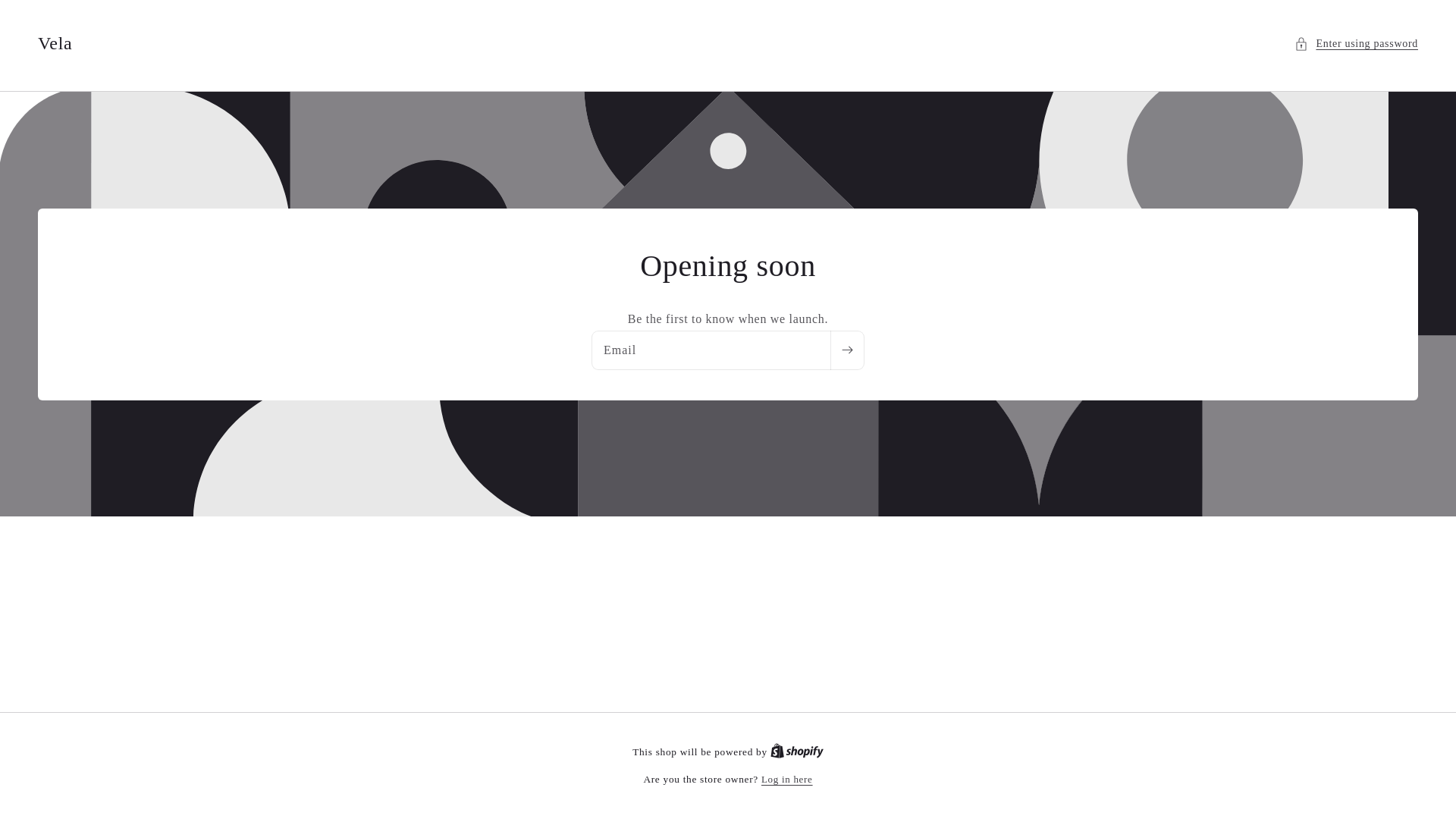 website screenshot of https://velastick.com/