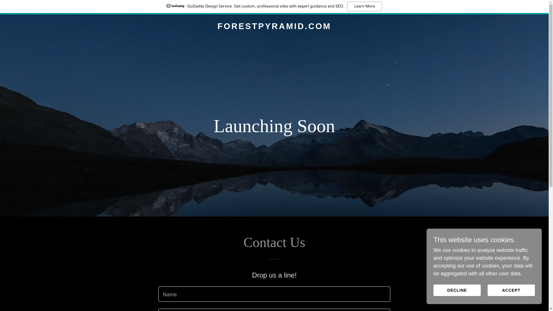 website screenshot of https://forestpyramid.com/