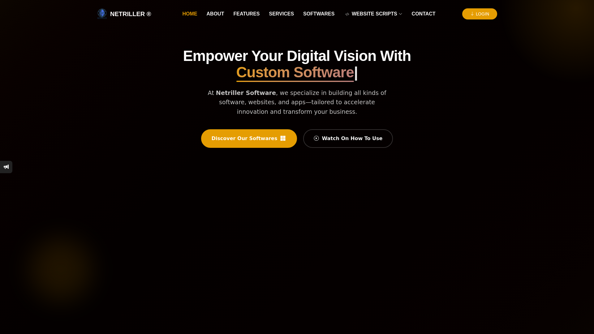 website screenshot of https://netriller-software.space/