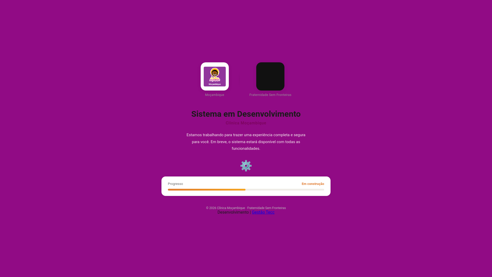 website screenshot of https://clinicamocambique.com.br/