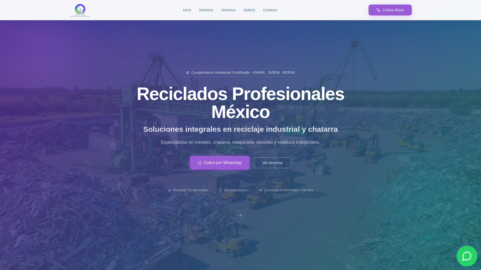 website screenshot of https://recicladosprofesionalesmexico.com/