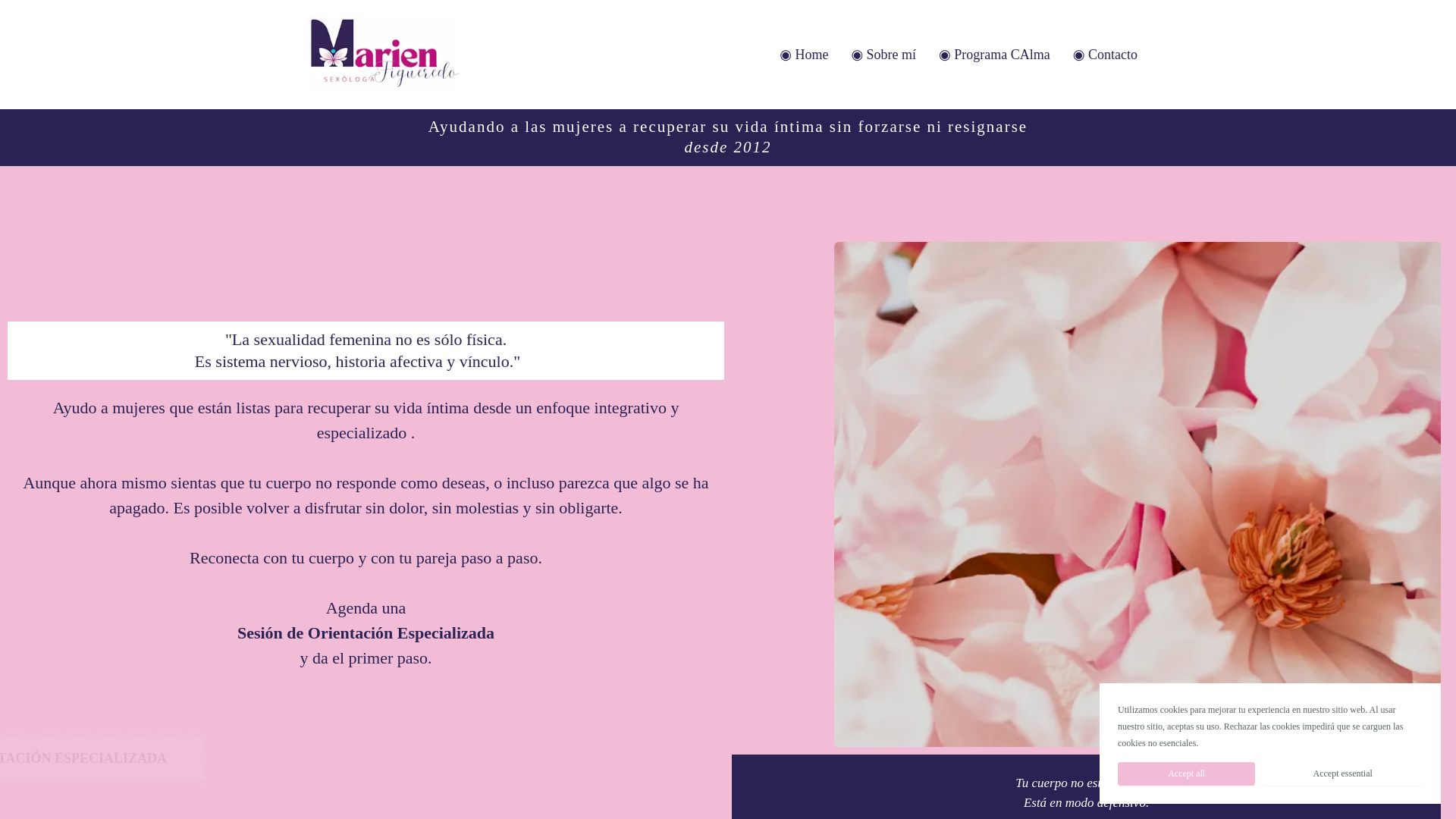 website screenshot of https://marien-figueredo.com/