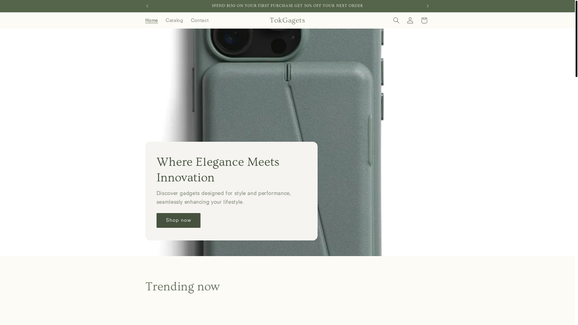 website screenshot of https://tokgagets.com/