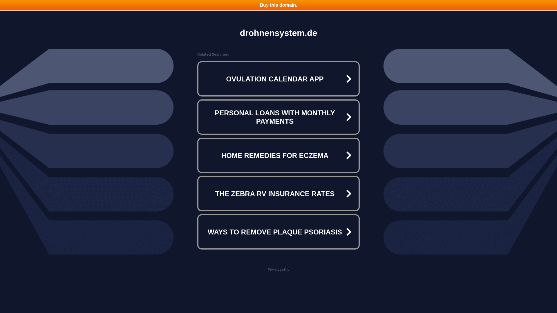 website screenshot of https://drohnensystem.de/