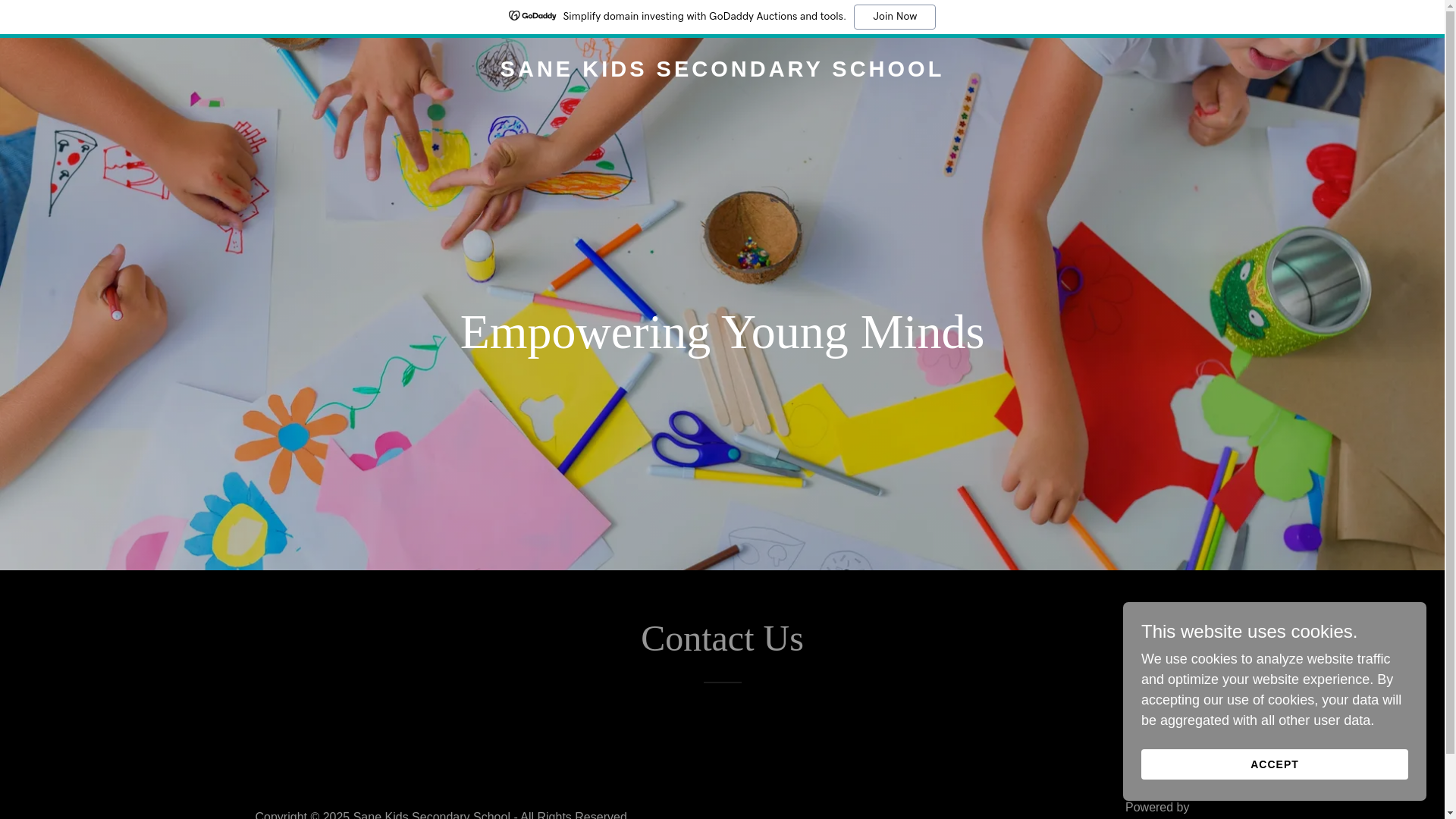 website screenshot of https://sanekidsschool.com/