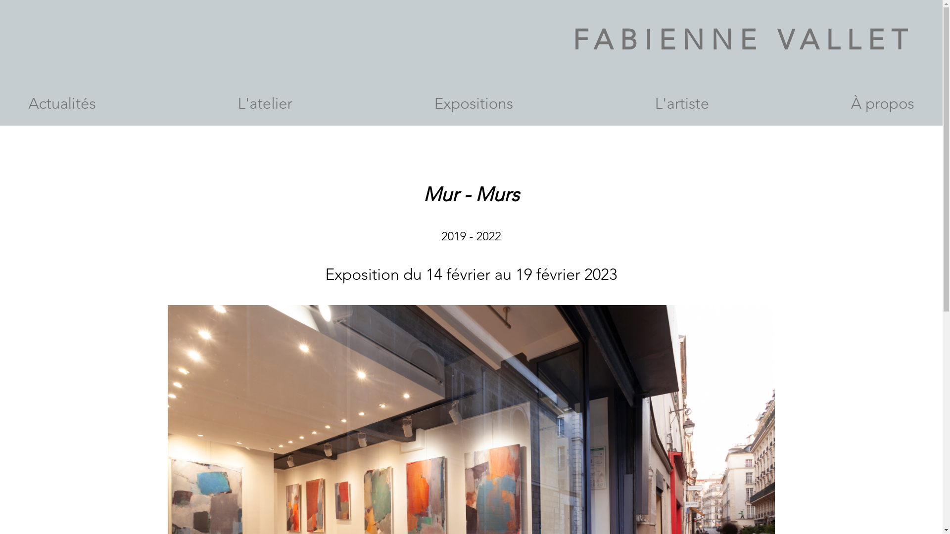 website screenshot of https://fabiennevallet.com/