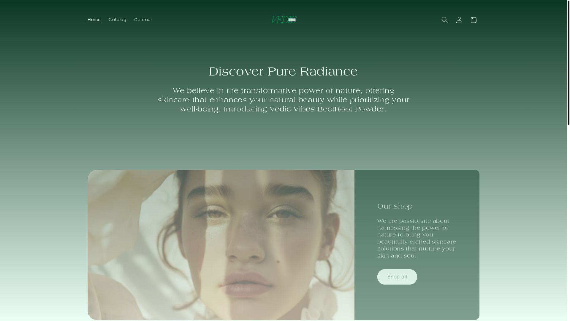 website screenshot of https://vedicvibes.xyz/