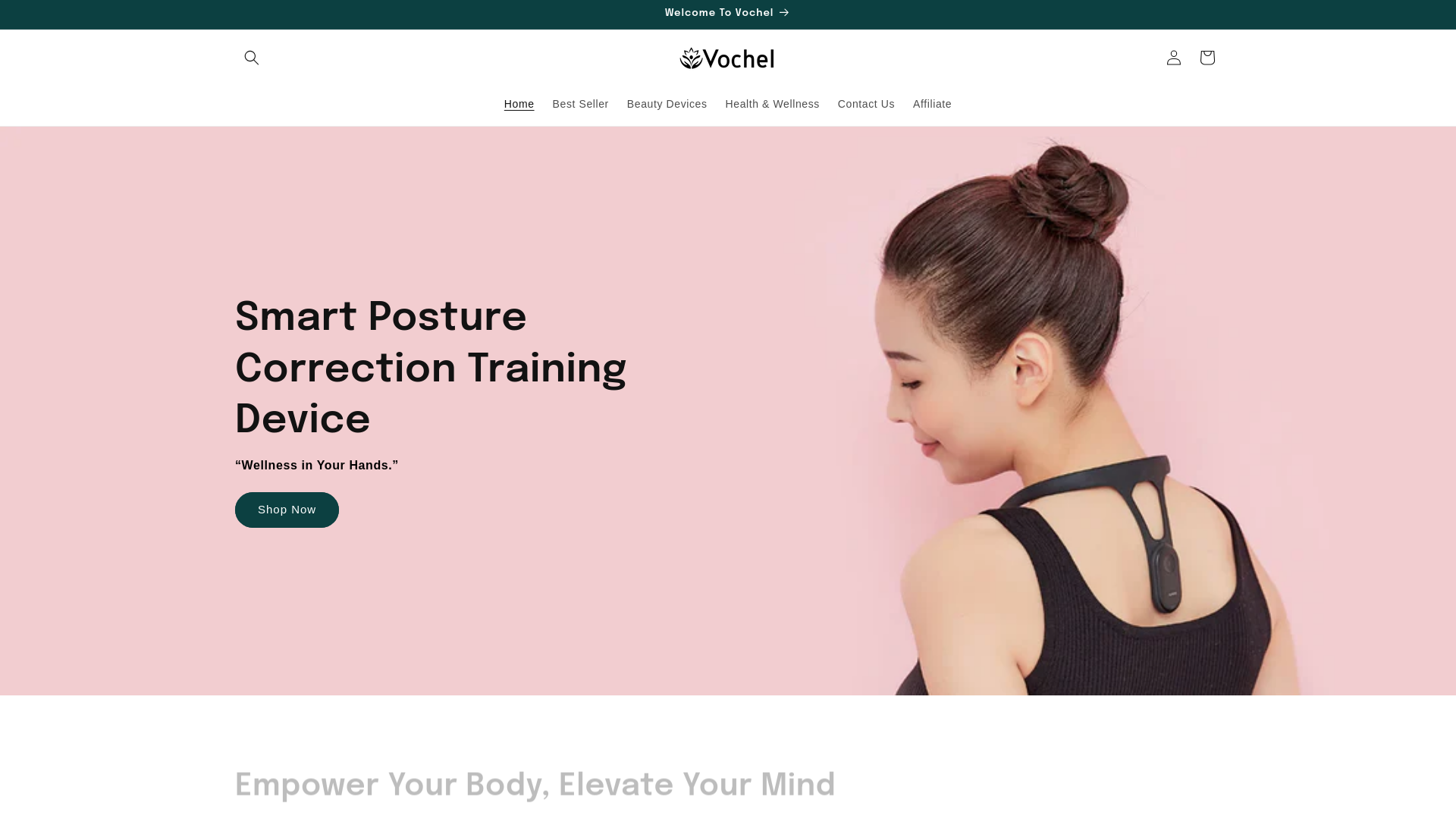 website screenshot of https://vochel.store/