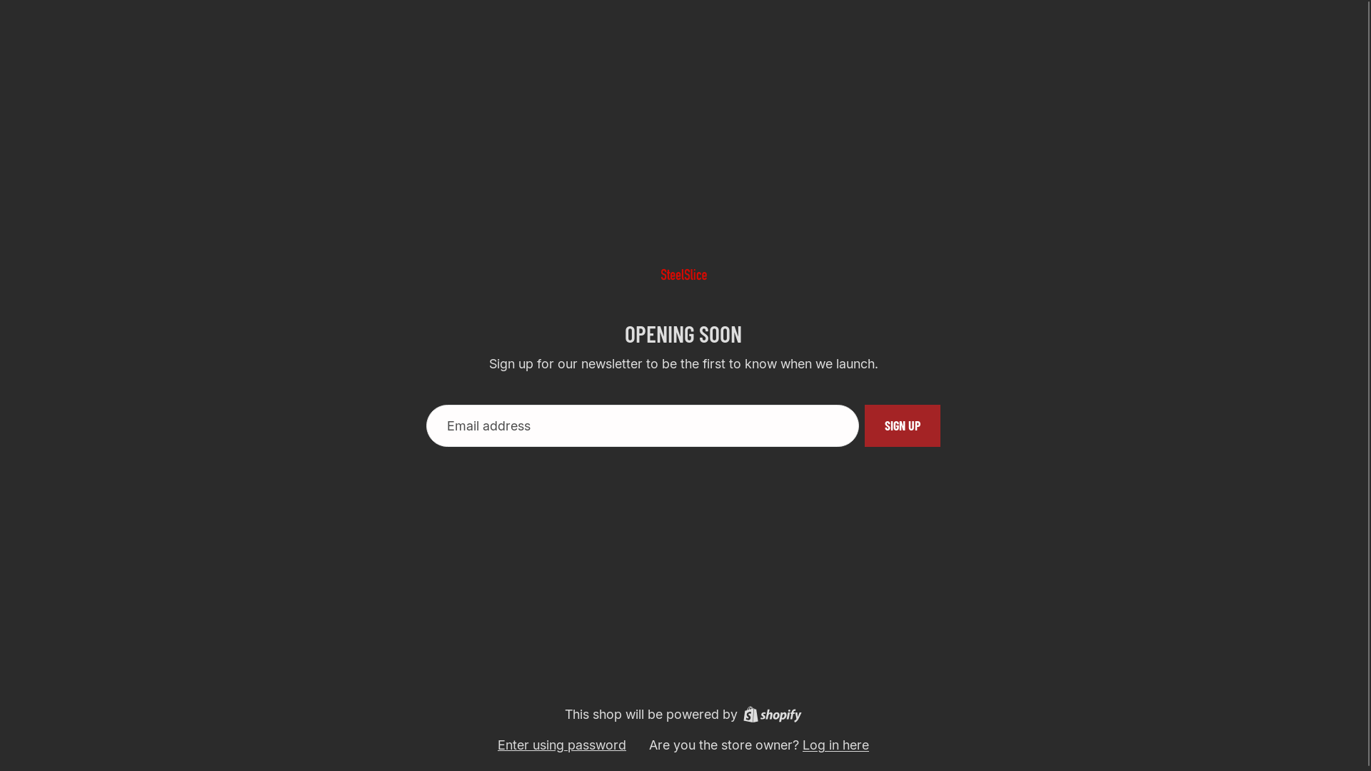 website screenshot of https://steelsliceboard.store/
