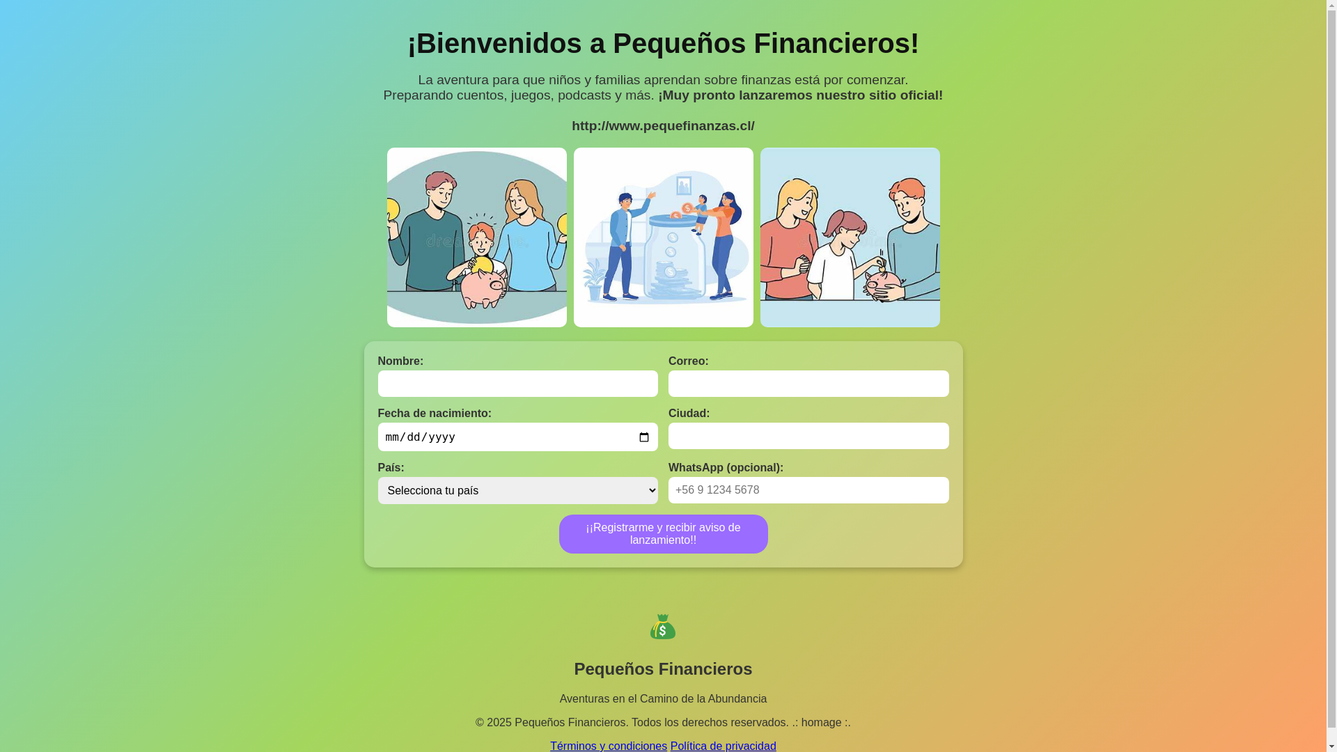 website screenshot of https://pequefinanzas.cl/