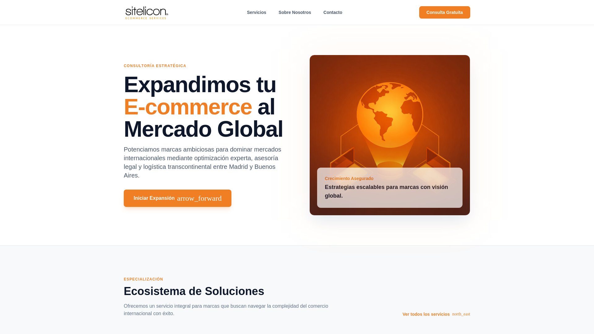 website screenshot of https://sitelicon.com.ar