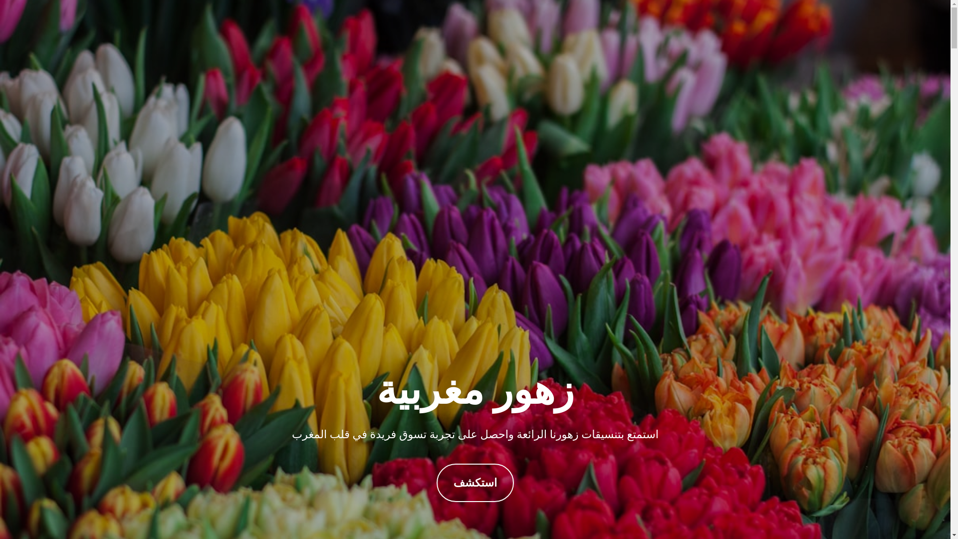 website screenshot of https://azunezocu.store/