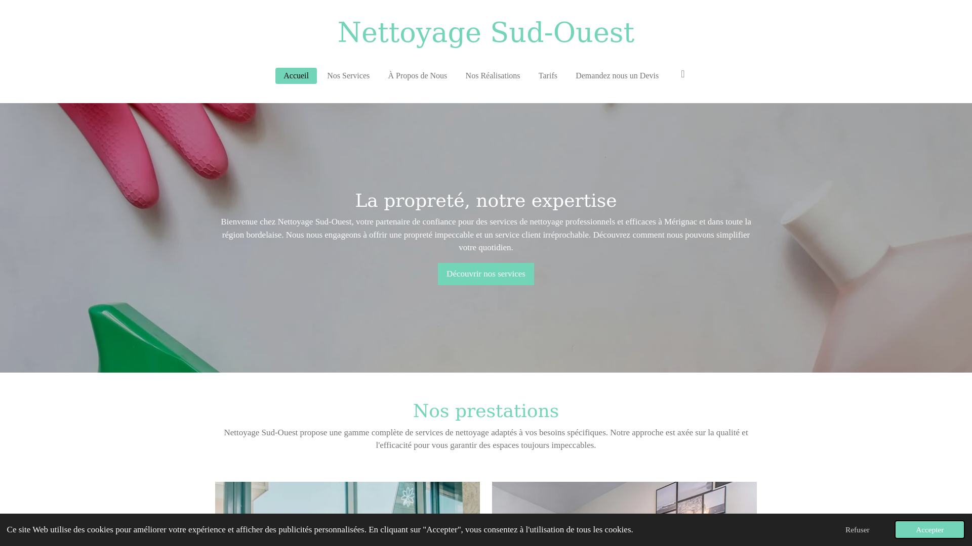 website screenshot of https://nettoyage-sud-ouest.com