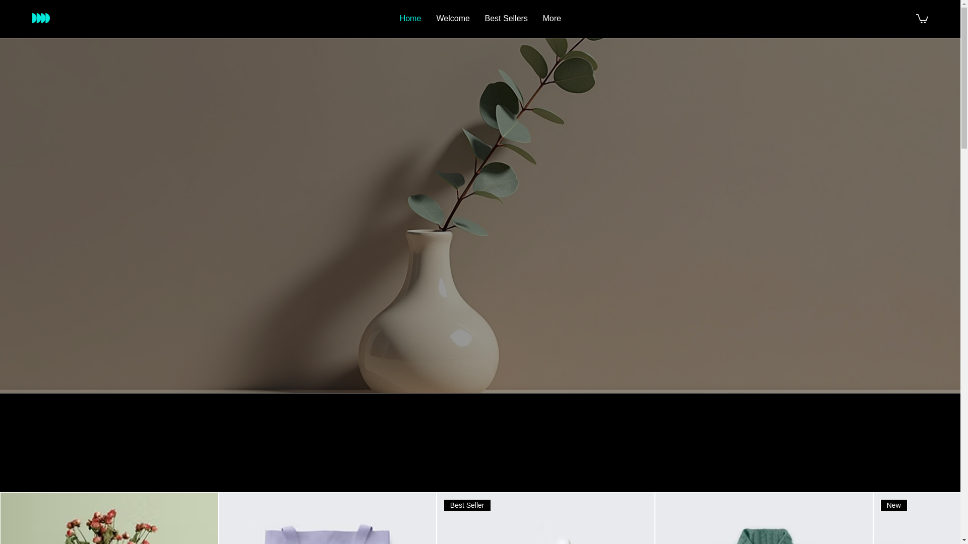 website screenshot of https://taimursfriedchicken.org/