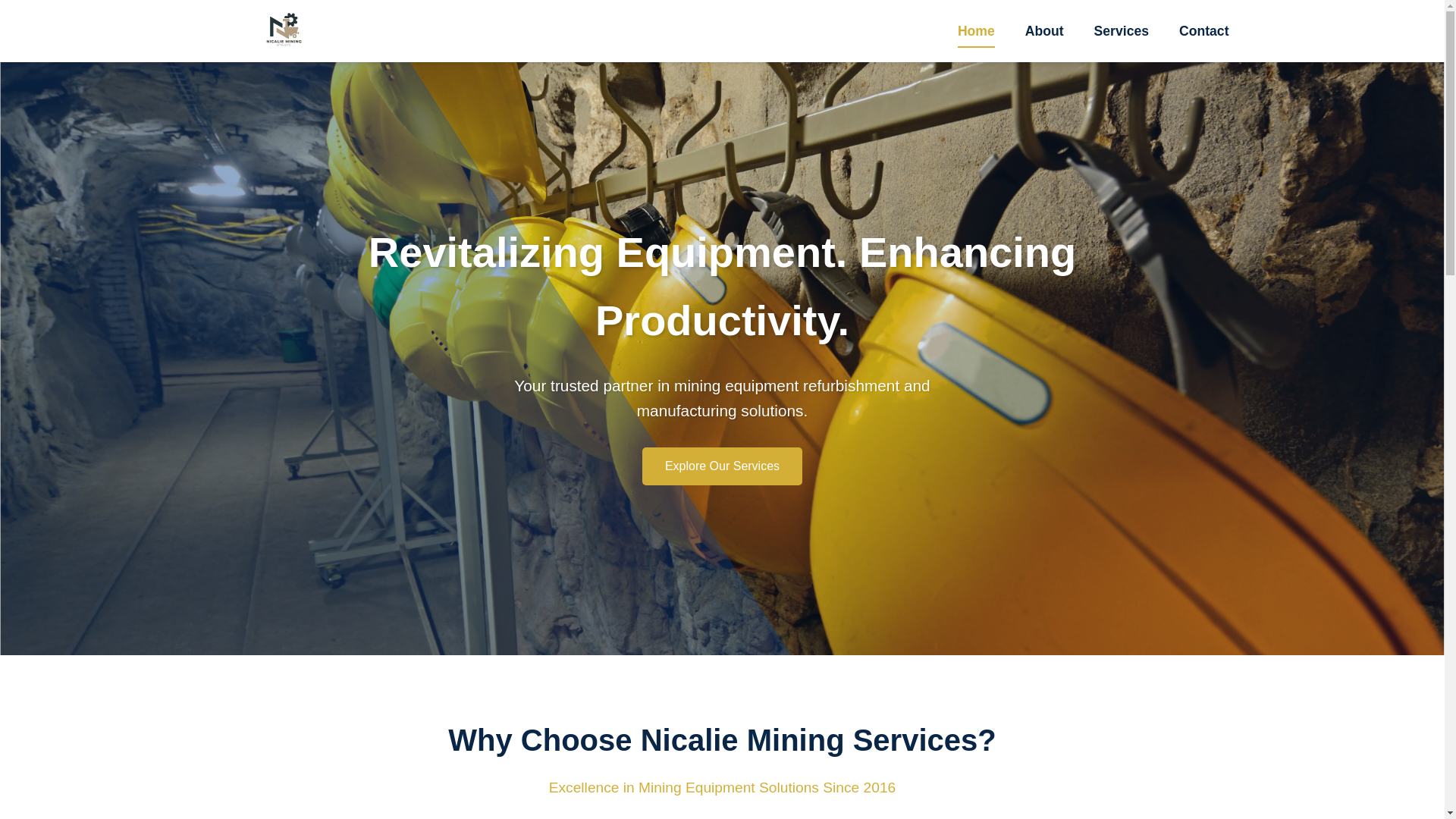 website screenshot of https://nicalieminingservices.co.za/
