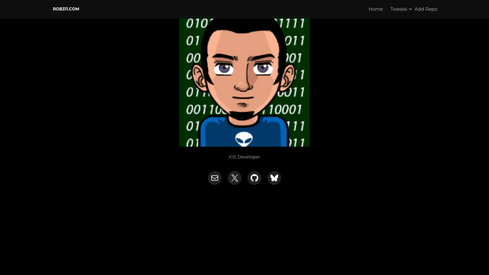 website screenshot of https://rob311.com
