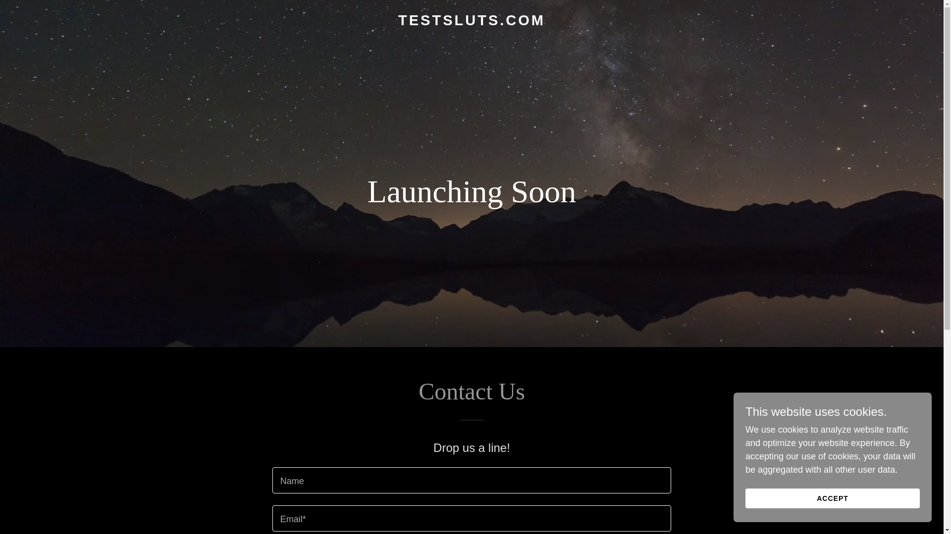 website screenshot of https://testsluts.com/